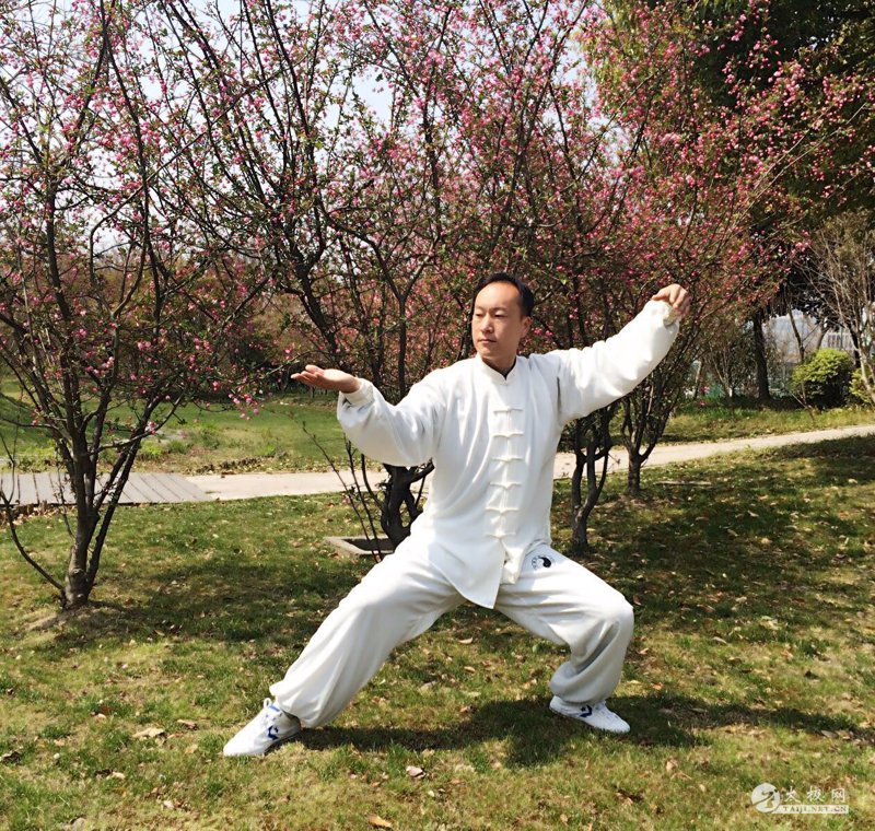 太极养生：传统智慧在现代的回响