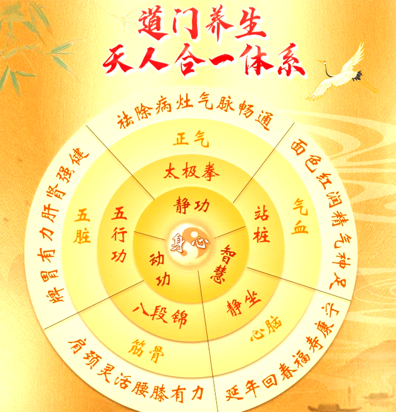 太极养生在现代社会的新风向