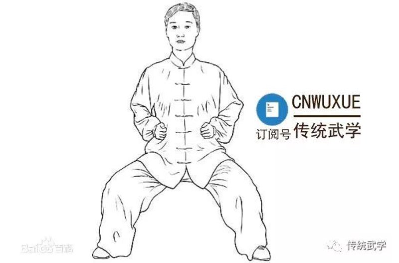 探索太极视频的魅力