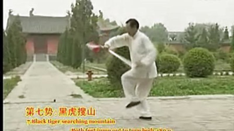 太极风潮:从入门到精通太极拳教程