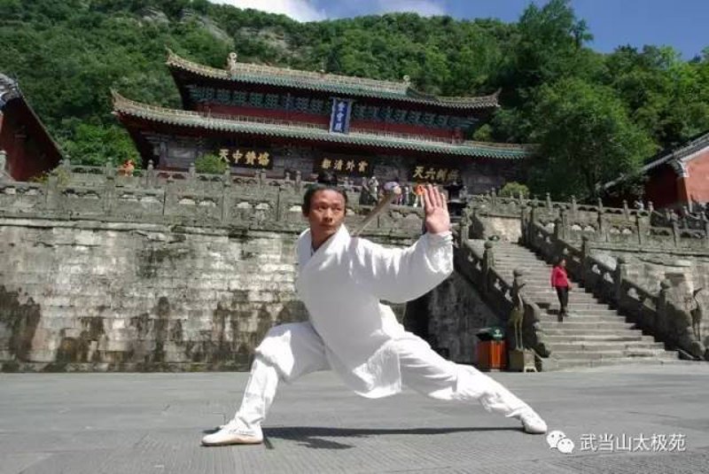 太极养生:引领健康生活的潮流风向