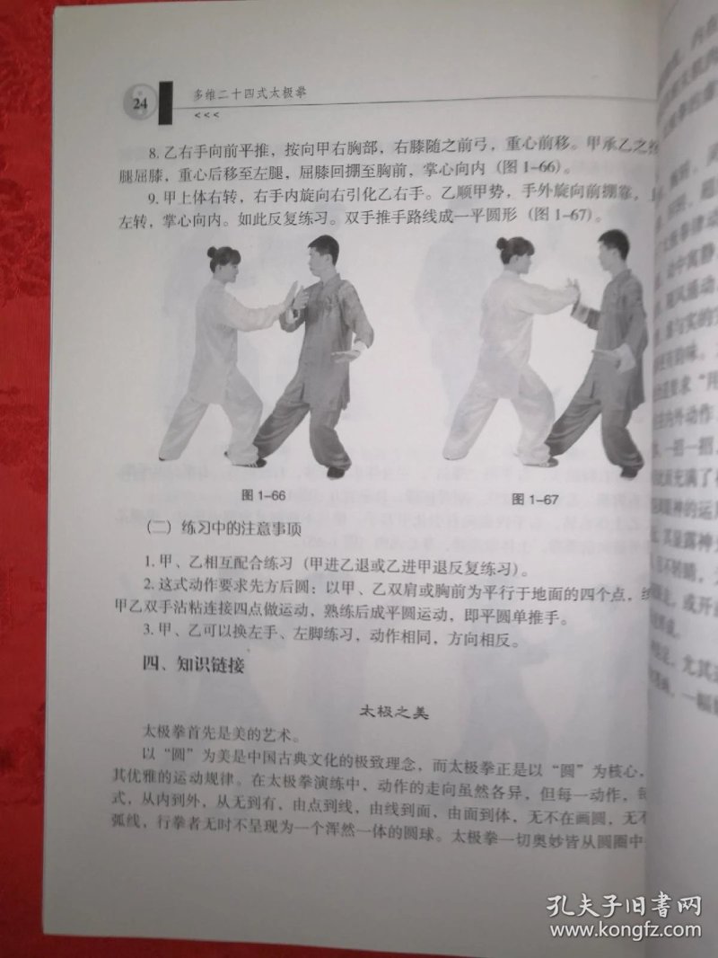 搜索太极：在数字浪潮中探秘传统武术的魅力